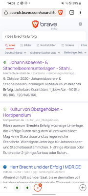 Screenshot_20220515-140922_Brave.png