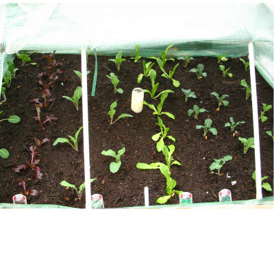 Folienbeet_10.04.08.jpg
