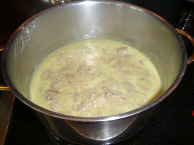 es_koechelt.11.04.2008.00.JPG