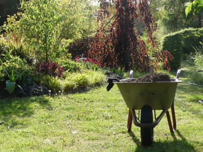 2022-05-15 Gartenimpressionen 9.jpg