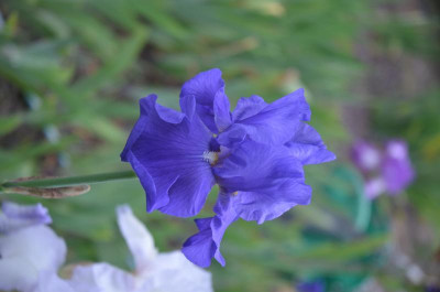 D7957.JPG