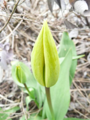 11.04.2008.56.JPG
