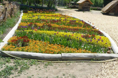 Landesgartenschau Beelitz 2023 241.jpg