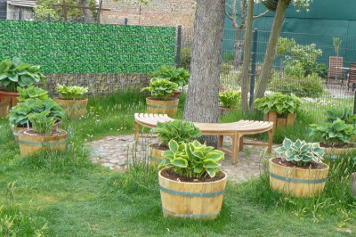 Landesgartenschau Beelitz 2023 146.jpg