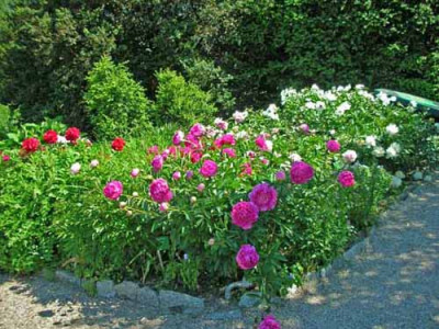 Hermannshof_Pae-Beet.jpg