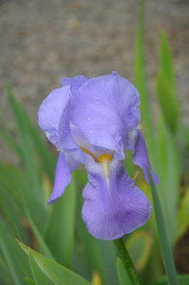 D8052.JPG