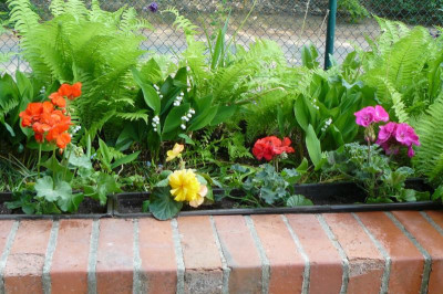 Landesgartenschau Beelitz 2023 289.jpg