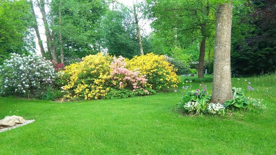 IMG_20220519_200322.jpg