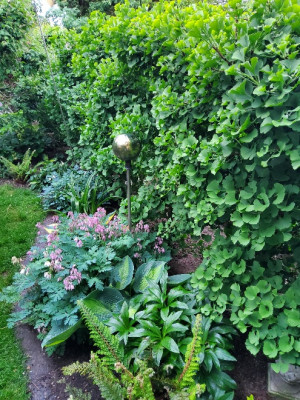 20220519_205343.jpg