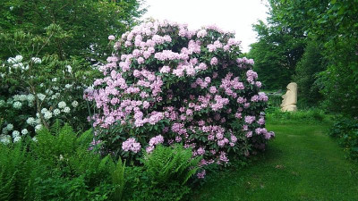 IMG_20220519_200930.jpg