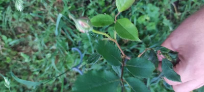 IMG_20220519_211243.jpg