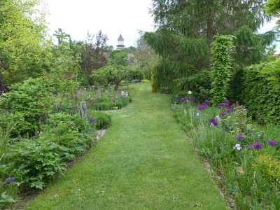 2022-05-19 Garteneinblick 8.jpg