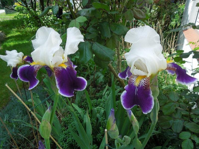 DSCN9777.JPG