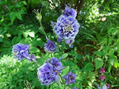 DSCN9764.JPG