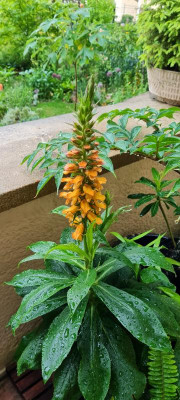 20220520_073150.jpg