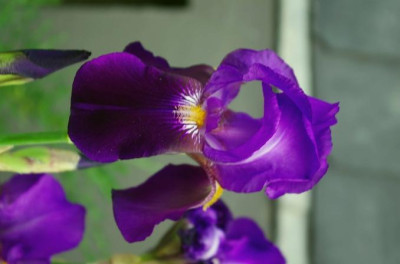 K5110300.jpg