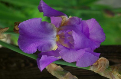 K5110301.jpg