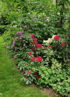 IMG_20220520_143207~2.jpg