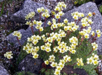 2008-04-13_004.JPG