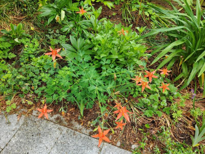 20220521_101039.jpg
