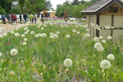 Landesgartenschau Beelitz 2023 319.jpg