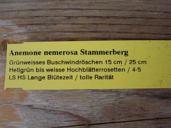 Stammerberg3.jpg