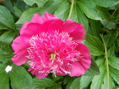 DSCN2110.JPG