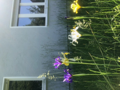image0.jpeg