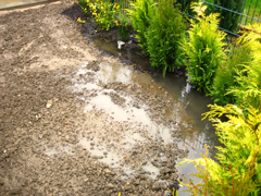 wasser2.jpg