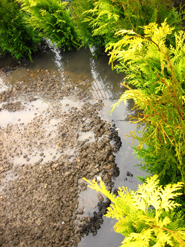 wasser0.jpg