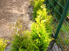 wasser1.jpg