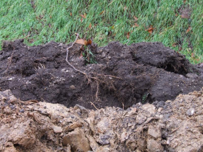 DSCF4586.JPG