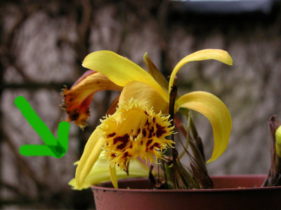 DSCN0058_u.jpg