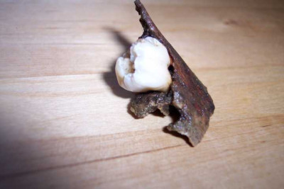 K640_100_5009.JPG