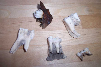 K640_100_5010.JPG