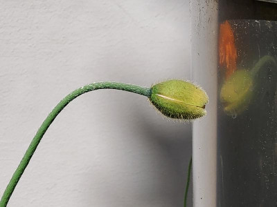 20220523_141121.jpg
