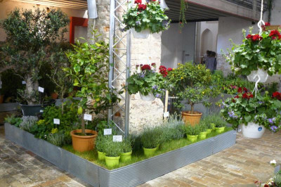 Landesgartenschau Beelitz 2023 304.jpg