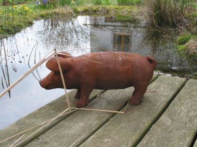 Schwein_2.jpg