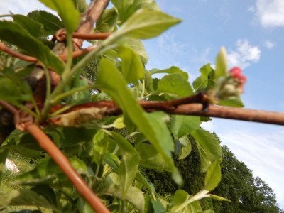 DSCN2094.JPG