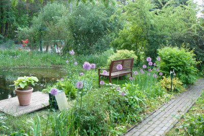 Borkers Garten.jpg