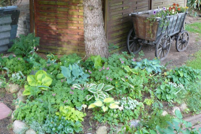 Borkers Garten 002.jpg