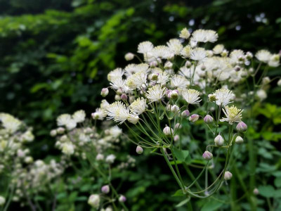 20220525_210837.jpg