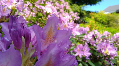 IMG_20220526_101720.jpg