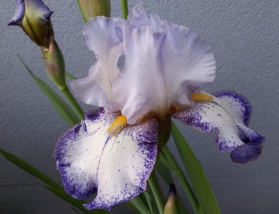20150507_193454~2.jpg