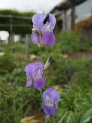 LovAgain_220522.jpg