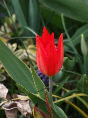 DSCF6456.jpg