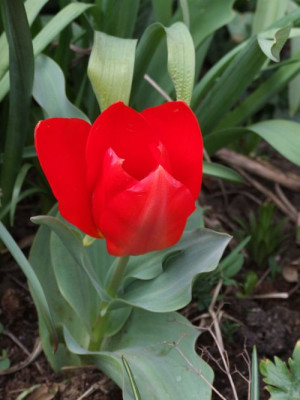 DSCF6457.jpg