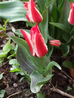 DSCF6472.jpg