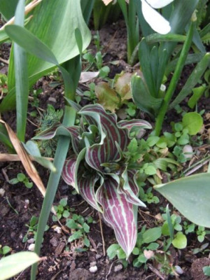 DSCF6463.jpg