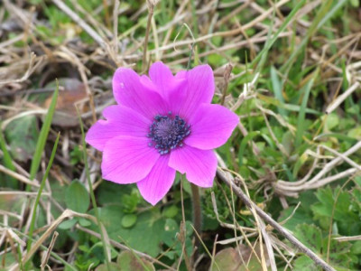 DSCF6118.jpg